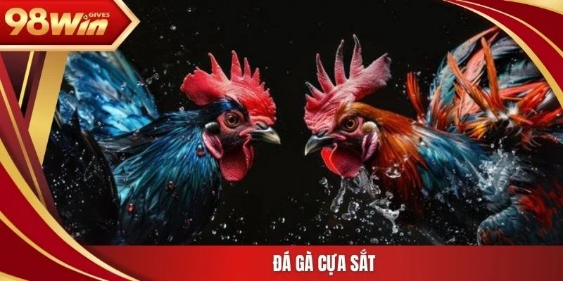 Đá gà cựa sắt