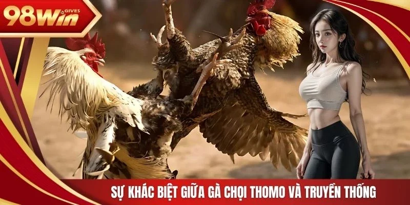 Sự khác biệt giữa gà chọi Thomo và truyền thống