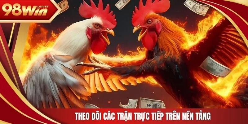 Theo dõi các trận trực tiếp trên nền tảng